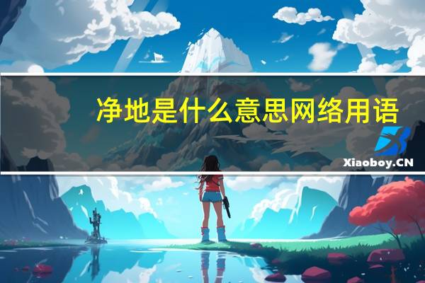 净地是什么意思网络用语（净地是什么意思）