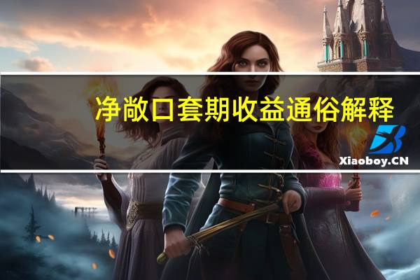 净敞口套期收益通俗解释(净敞口套期收益概念)