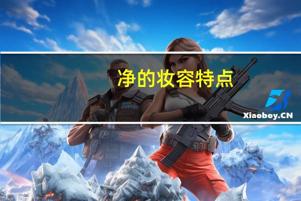 净的妆容特点