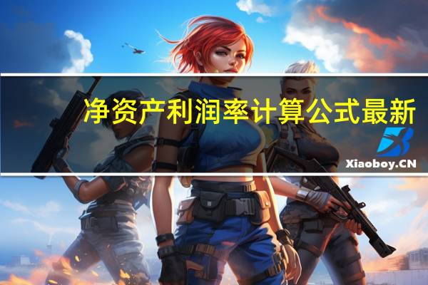 净资产利润率计算公式最新（净资产利润率计算公式）