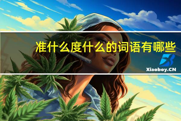 准什么度什么的词语有哪些?