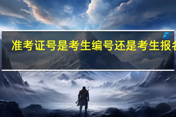 准考证号是考生编号还是考生报名号