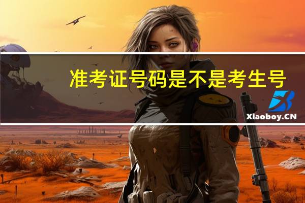 准考证号码是不是考生号