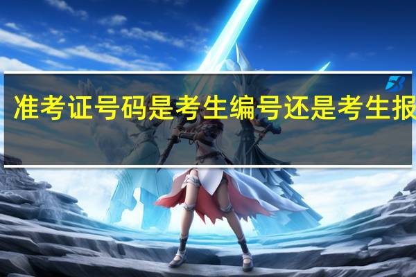 准考证号码是考生编号还是考生报名号