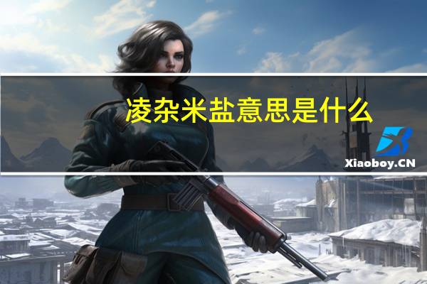 凌杂米盐意思是什么