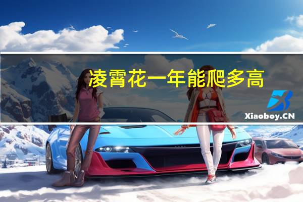 凌霄花一年能爬多高