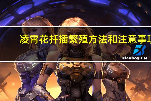 凌霄花扦插繁殖方法和注意事项