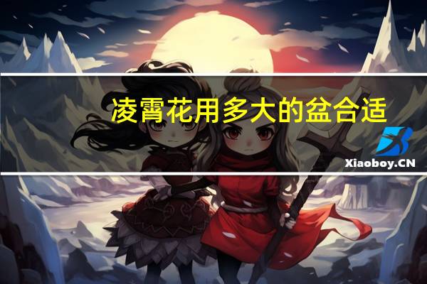 凌霄花用多大的盆合适
