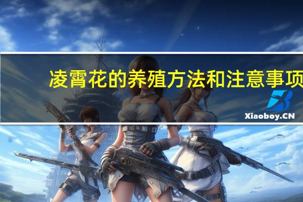 凌霄花的养殖方法和注意事项