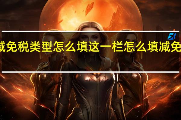减免税类型怎么填这一栏怎么填 减免税类型