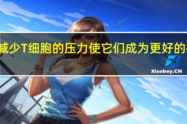 减少T细胞的压力使它们成为更好的抗癌者