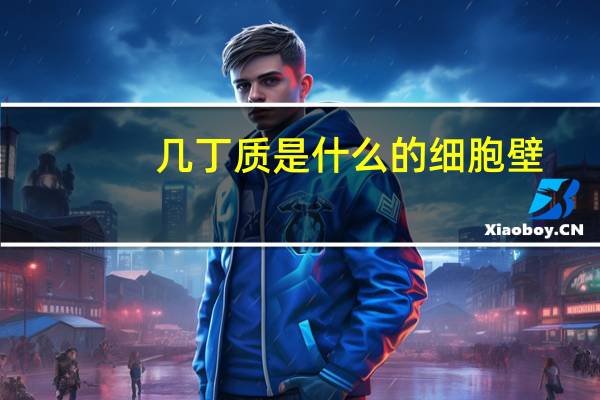 几丁质是什么的细胞壁