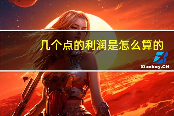 几个点的利润是怎么算的（利润是怎么算的）