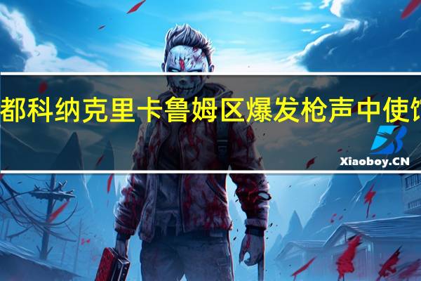 几内亚首都科纳克里卡鲁姆区爆发枪声中使馆发布紧急提醒