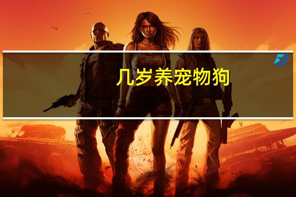 几岁养宠物狗