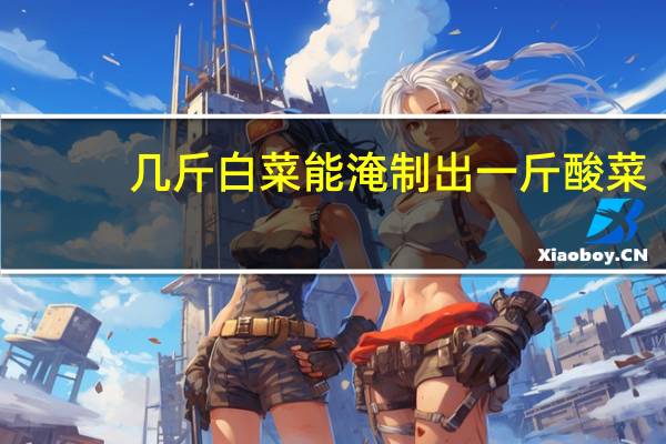 几斤白菜能淹制出一斤酸菜