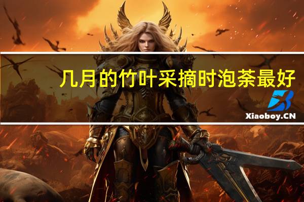 几月的竹叶采摘时泡荼最好
