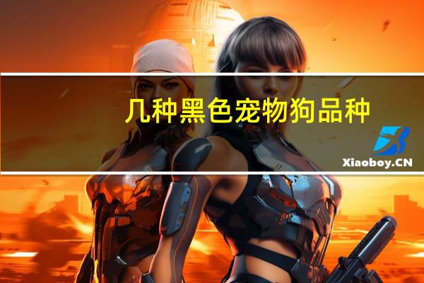 几种黑色宠物狗品种