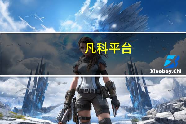 凡科平台（凡客v十商城）