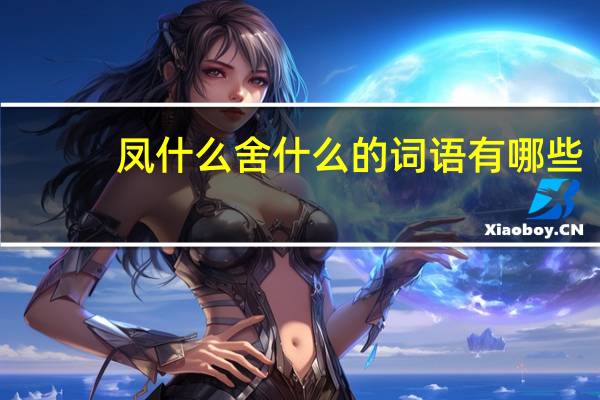 凤什么舍什么的词语有哪些?