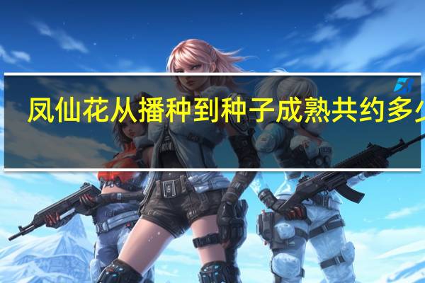 凤仙花从播种到种子成熟共约多少天