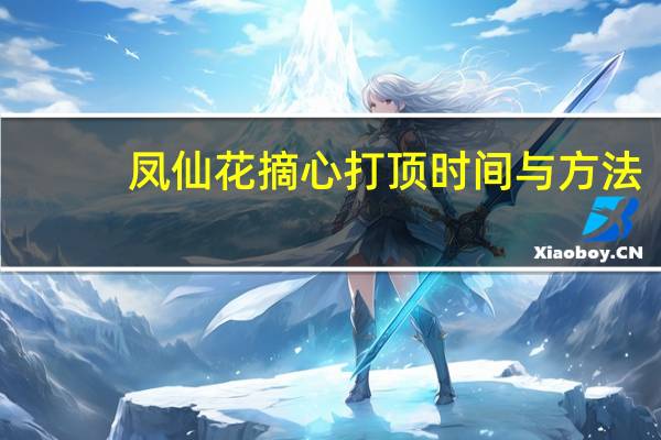 凤仙花摘心打顶时间与方法