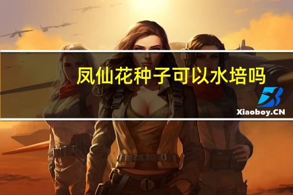 凤仙花种子可以水培吗