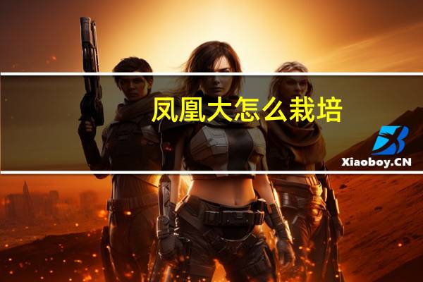凤凰大怎么栽培