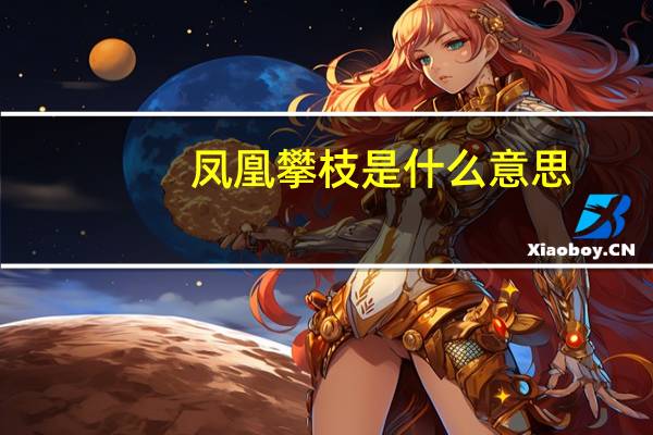 凤凰攀枝是什么意思