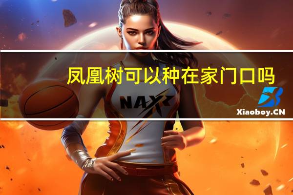 凤凰树可以种在家门口吗