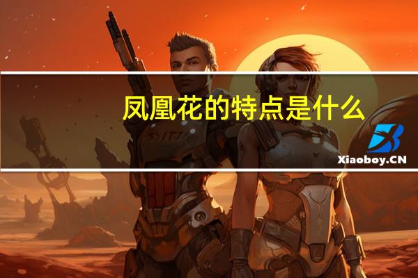 凤凰花的特点是什么