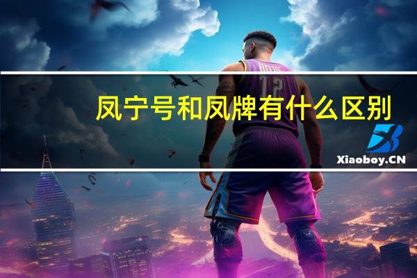 凤宁号和凤牌有什么区别