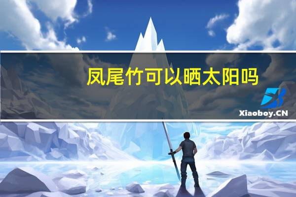 凤尾竹可以晒太阳吗