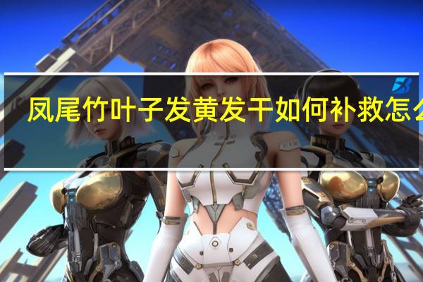凤尾竹叶子发黄发干如何补救怎么办