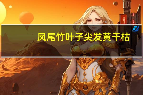 凤尾竹叶子尖发黄干枯
