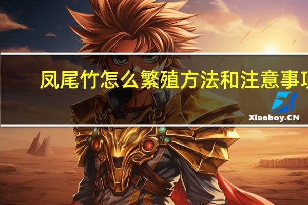 凤尾竹怎么繁殖方法和注意事项