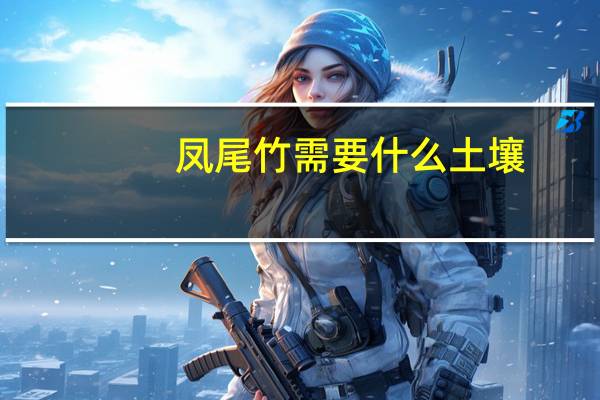 凤尾竹需要什么土壤