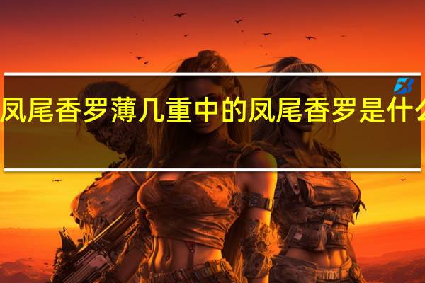 凤尾香罗薄几重中的凤尾香罗是什么意思