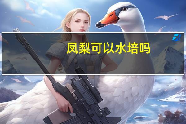 凤梨可以水培吗