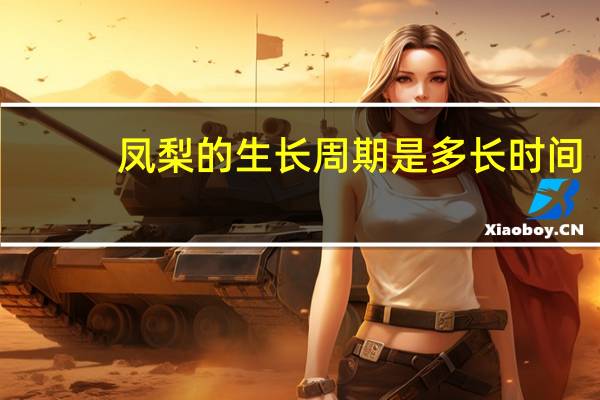 凤梨的生长周期是多长时间