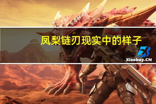 凤梨链刃现实中的样子(反乱猎人x攻略)