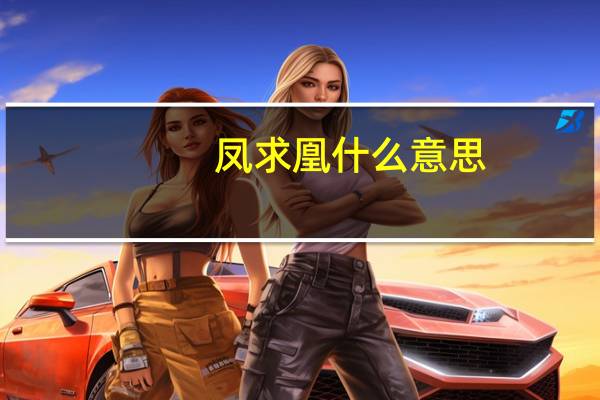 凤求凰什么意思
