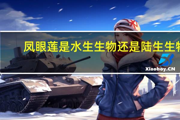 凤眼莲是水生生物还是陆生生物