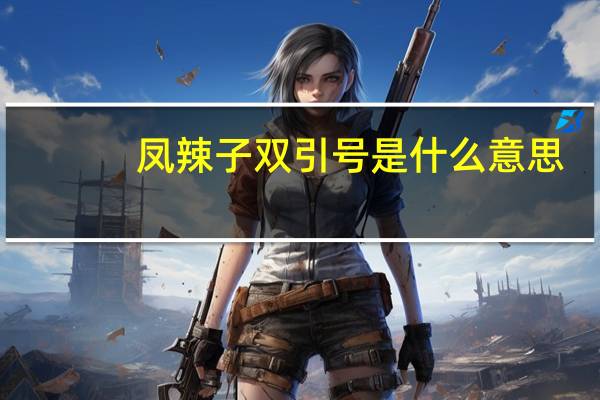 凤辣子双引号是什么意思