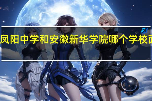 凤阳中学和安徽新华学院哪个学校面积大