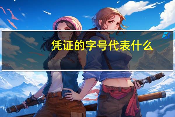 凭证的字号代表什么