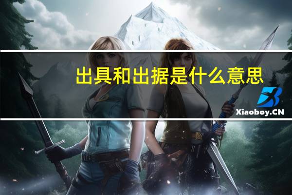 出具和出据是什么意思