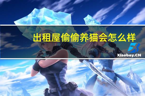 出租屋偷偷养猫会怎么样