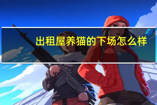 出租屋养猫的下场怎么样
