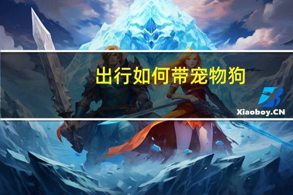 出行如何带宠物狗